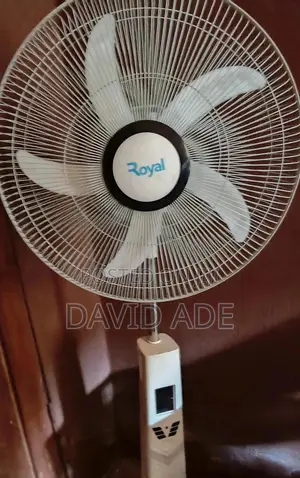 Standing Fan
