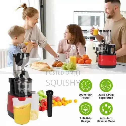 Multifunctional Fruit and Vegetable Juicer Extractor