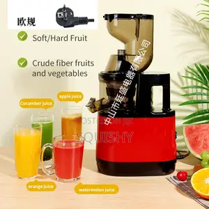 Multifunctional Fruit and Vegetable Juicer Extractor