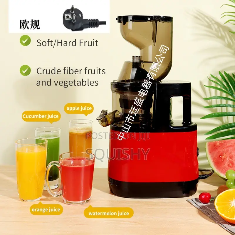 Multifunctional Fruit and Vegetable Juicer Extractor