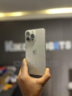 Apple iPhone 15 Pro Max 256 GB Silver