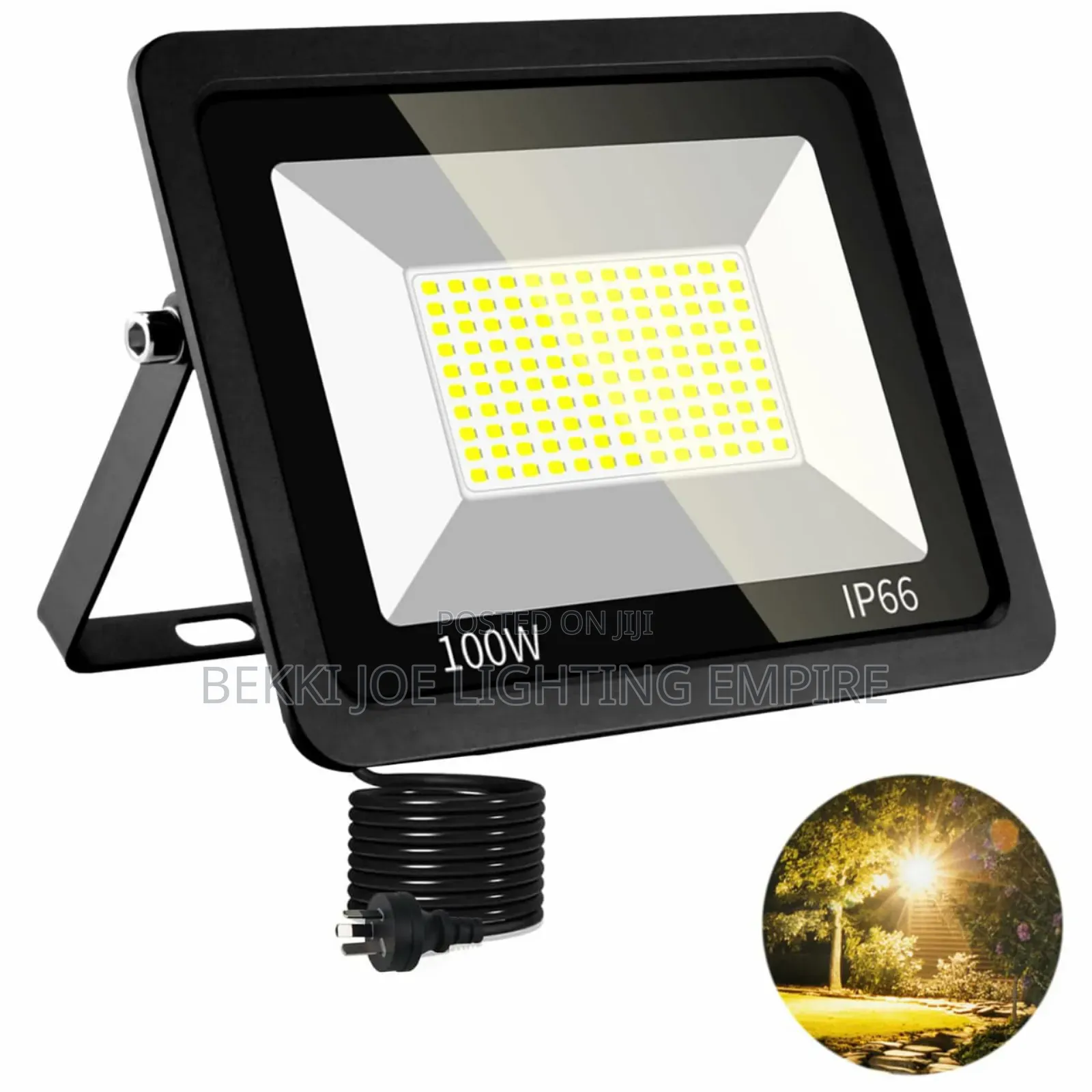 100w Flood Light