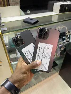 Apple iPhone 13 Pro Max 256 GB Gray