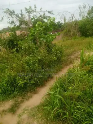 4 Plots of Land for Sale Opposite School of Nursing Ori Apata