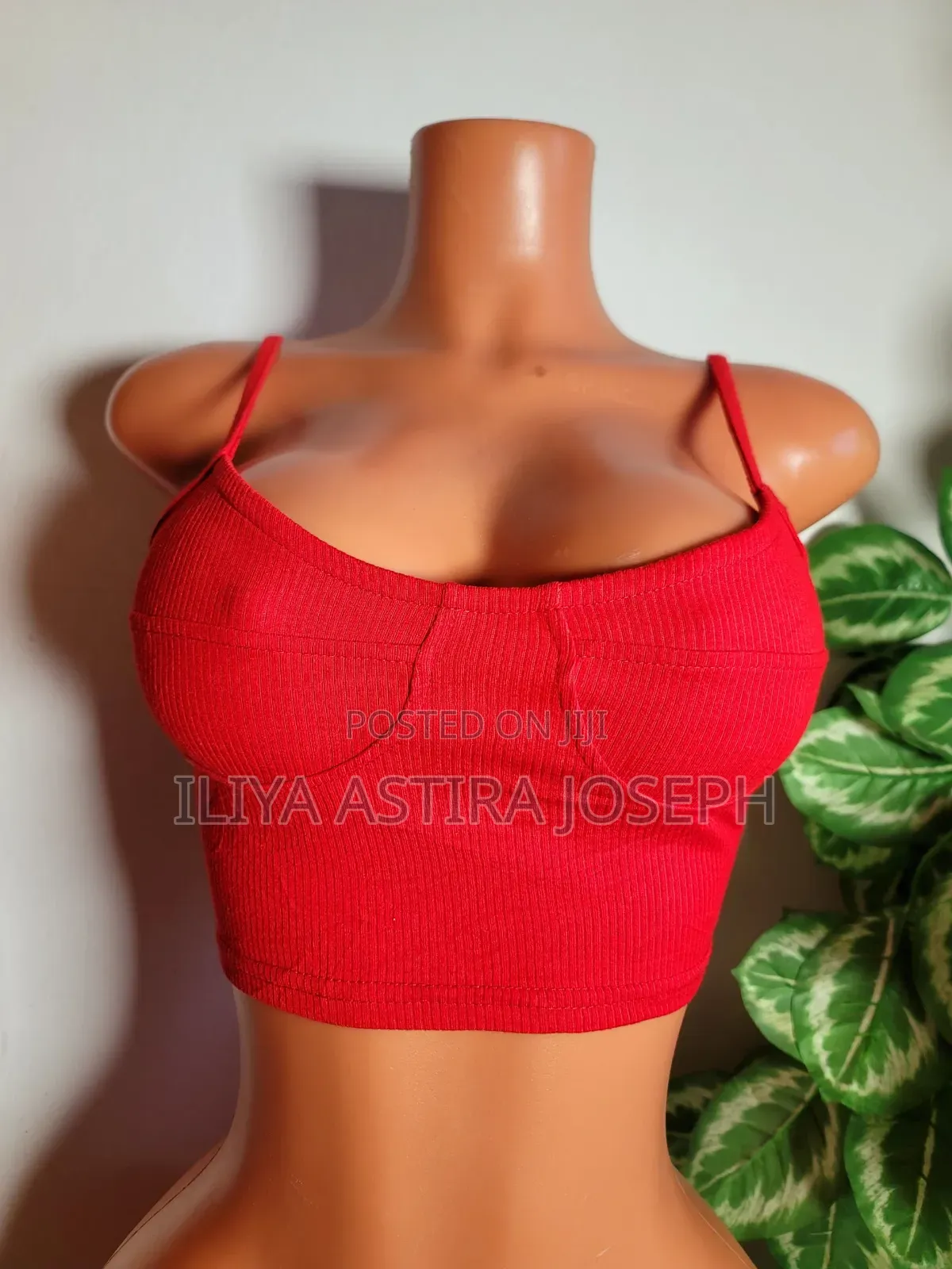 Ladies Inner Wears