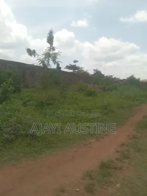 2 Plots for Sale at Sebi NNPC Road Owo Ilesha Express Road