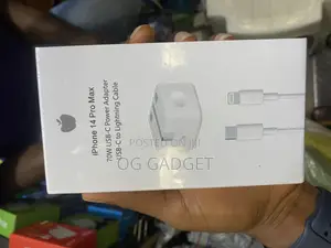 iPhone Charger