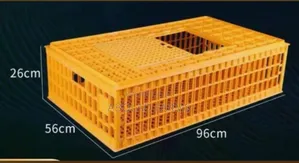 Birds Transport Crate