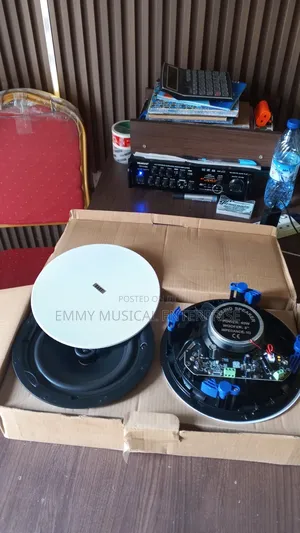 Frameless Bluetooth Ceiling Speaker