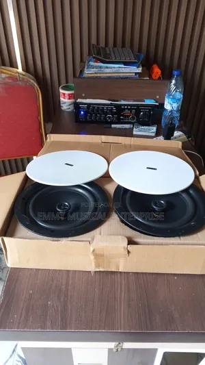 Frameless Bluetooth Ceiling Speaker