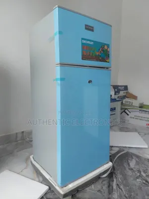 Brand New Skyrun Double Door Refegerator