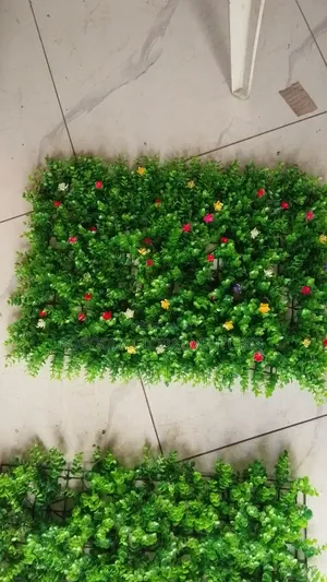 Foot Grass