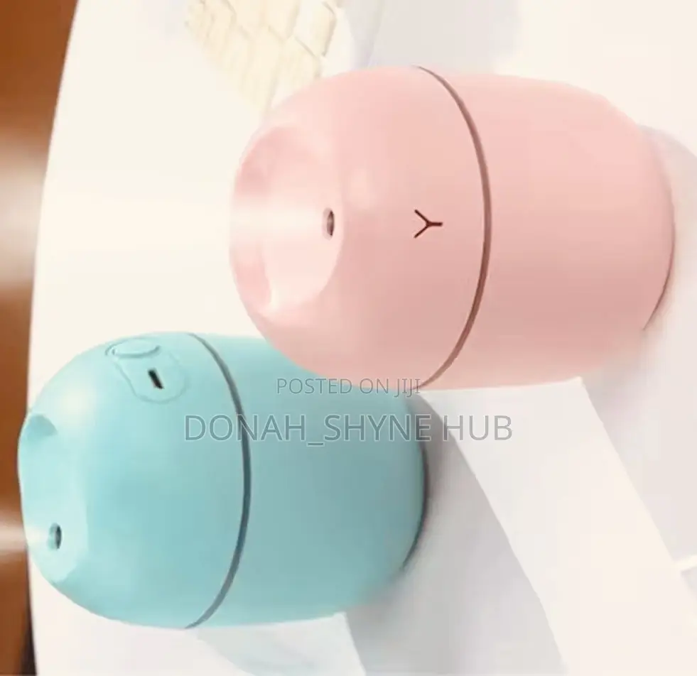 Mini Humidifier