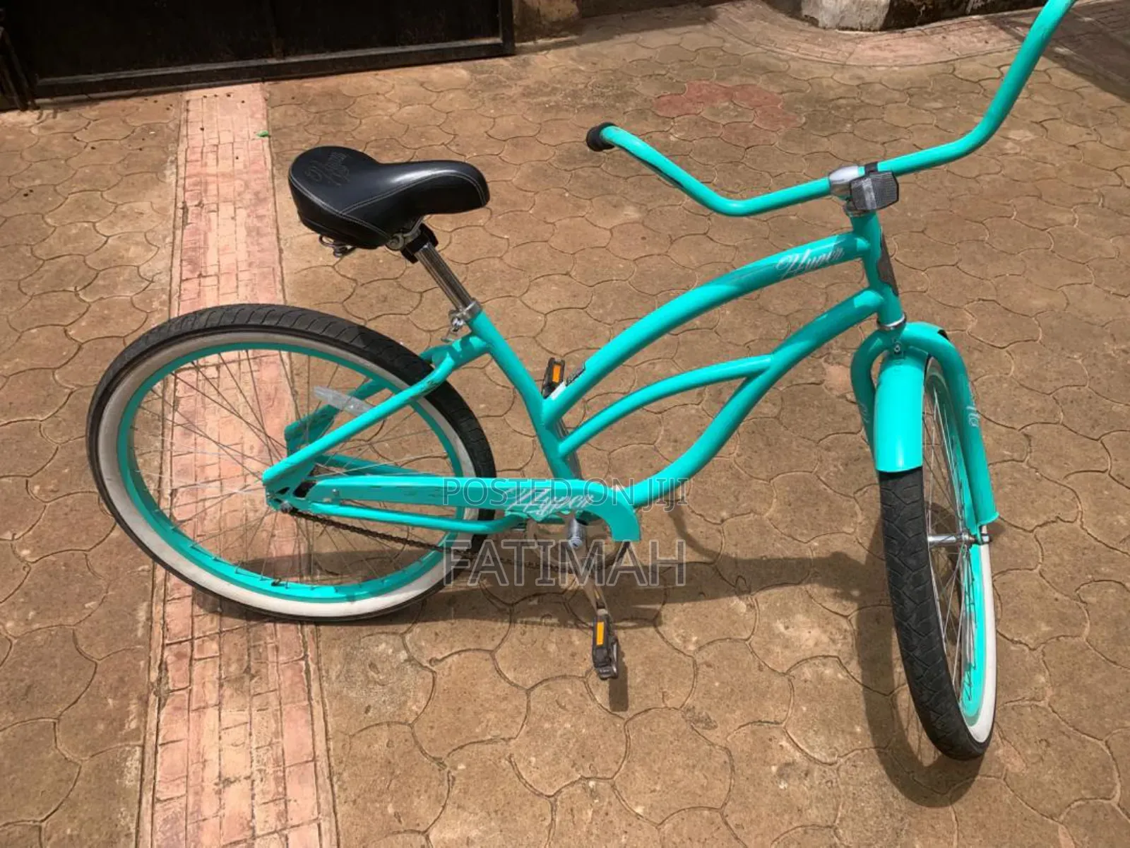 Teenage Bicycle