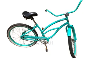 Teenage Bicycle