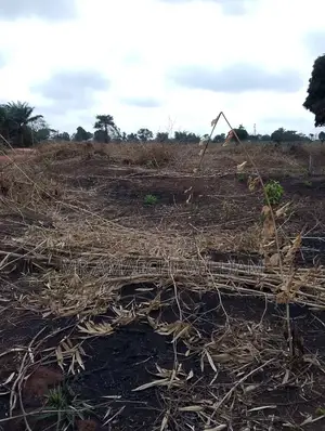 8 Plots Of Land Along Benin-onitsha Expressway, Issele-uku