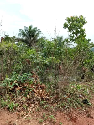 A 80 by 100ft Land for Sale.
