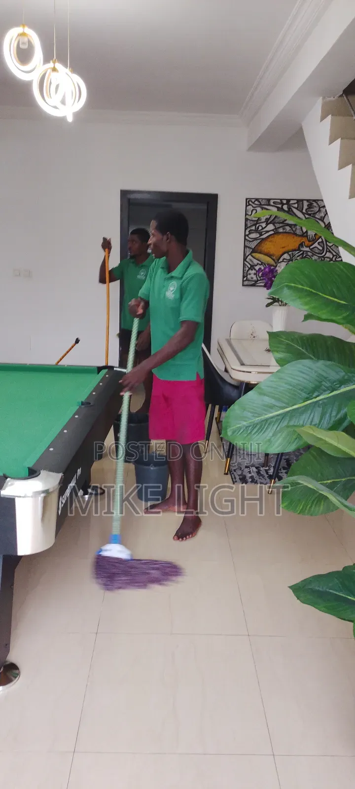 Professional Deep Cleaning