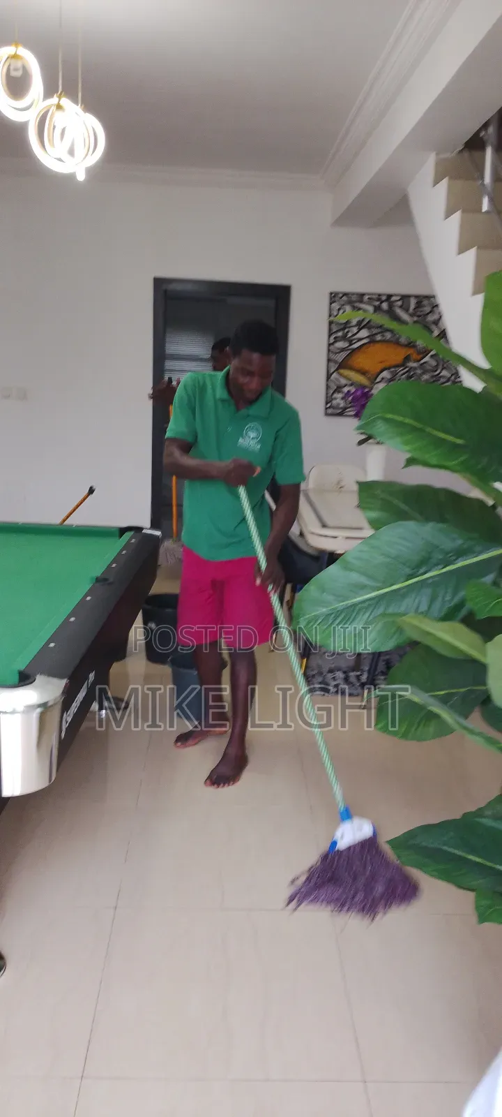 Professional Deep Cleaning