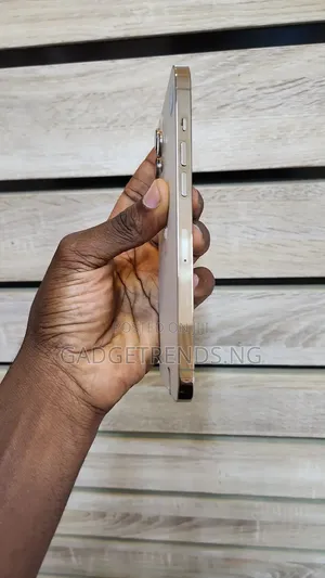 Apple iPhone 12 Pro Max 256 GB Gold