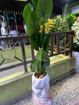Fresh, Fragrant, and Affordable Artificial Flower
