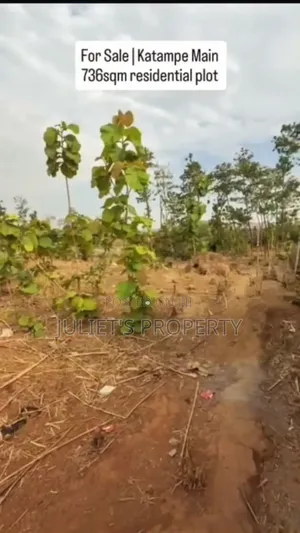 Land for Sell