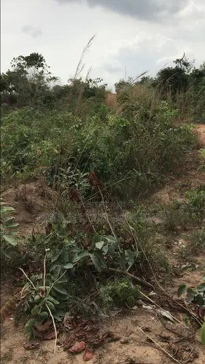 A Plot of Land