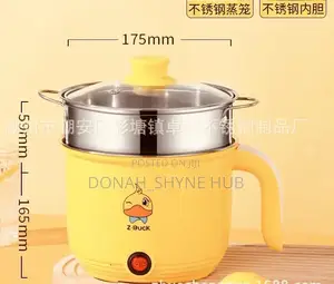 Electric Cooking Pot (With Steamer)