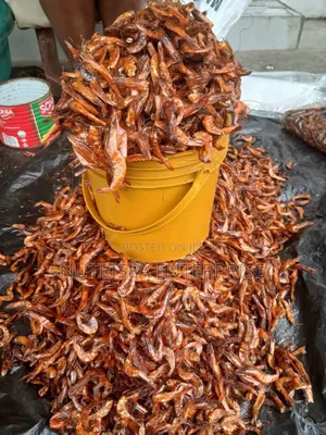 Premium Shrimp