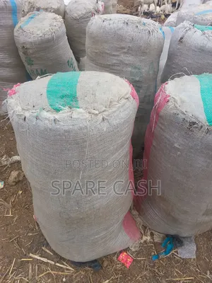 Cow and Goat Dungs for Manure