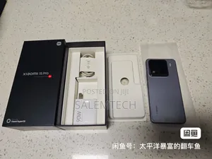 Xiaomi 15 Pro 512 GB Silver