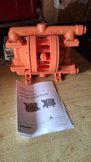 P200 (1") Advanced Metal Wilden Pump