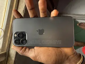 Apple iPhone 13 Pro Max 256 GB Gray