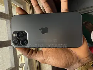 Apple iPhone 13 Pro Max 256 GB Gray