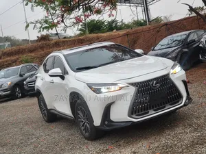 Lexus NX 2023 White