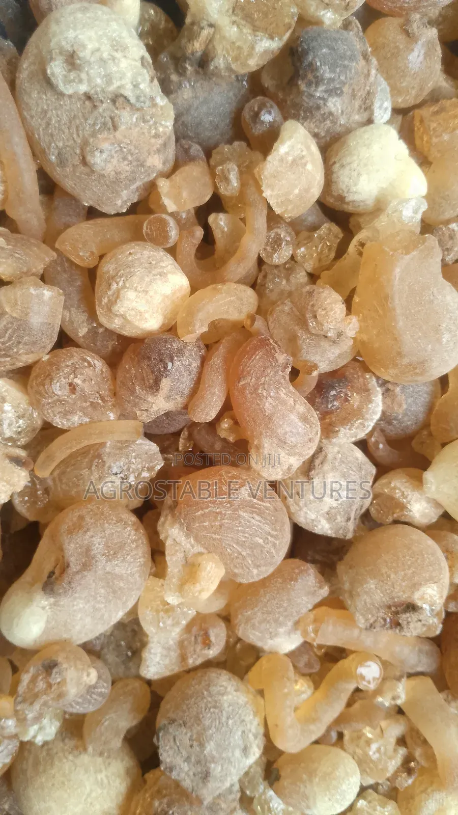Gum Arabic
