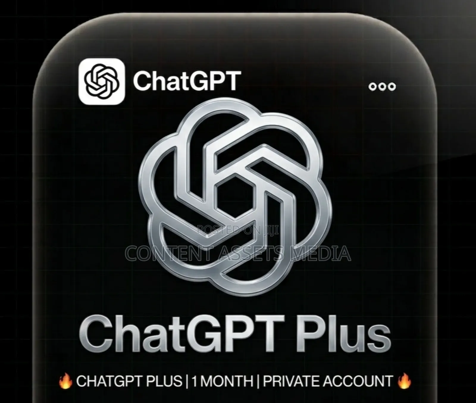 Chatgpt Plus 1 Month - Private Account