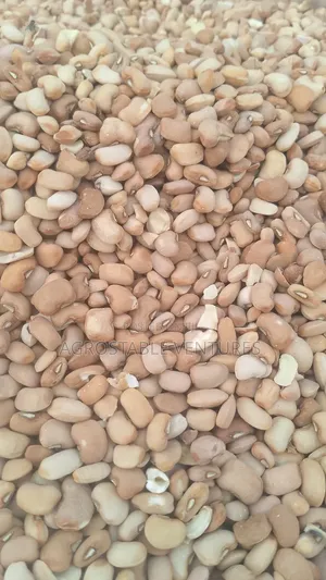 Brown Beans Per Kg