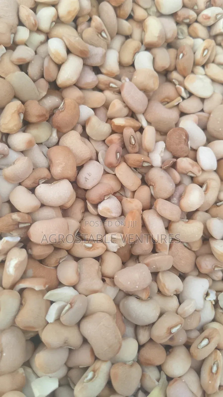 Brown Beans Per Kg