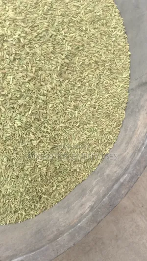 Fennel Seed 1kg Pack