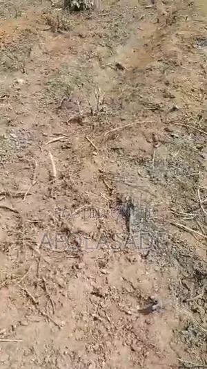 A Full Plot of Land