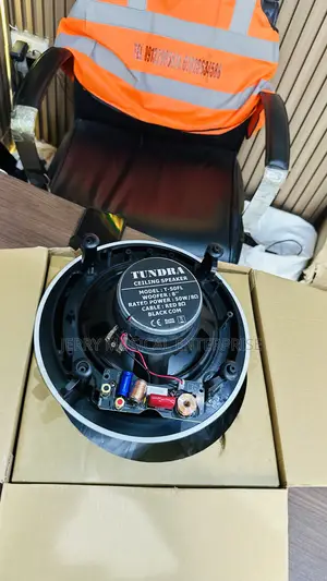 50w Ceiling Speakers With Heavy Woofer