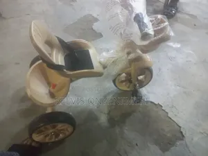 Tricycle With Seat Belt