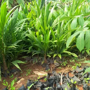 Philipagro