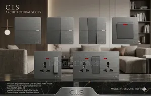Switch and Socket