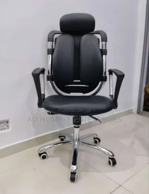 Imported Ergonomic Chair With Headrest