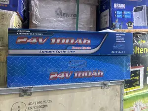 100ah 24v Lithium Ion Battery