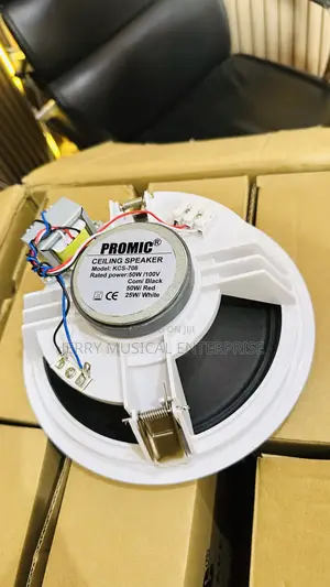 Promic 50w Passive Speakers 8inches