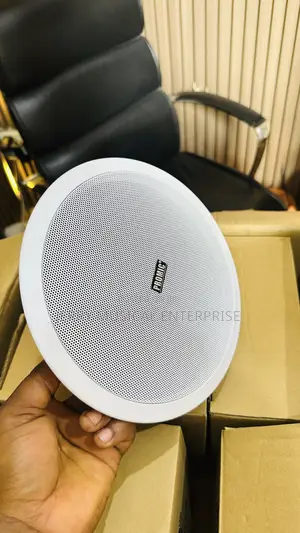 Original Promic Ceiling Speakers System Passive