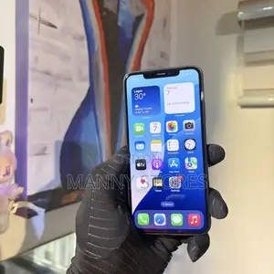 Apple iPhone 11 Pro Max 256 GB Black